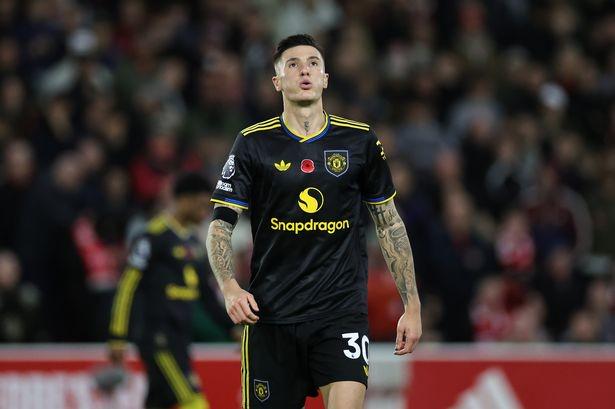 謝林漢姆：槍手簽下了杰克雷什而不是舍什科 并得到了一名更好的中鋒