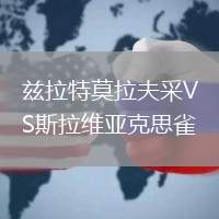 茲拉特莫拉夫采VS斯拉維亞克思雀