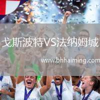 戈斯波特VS法納姆城