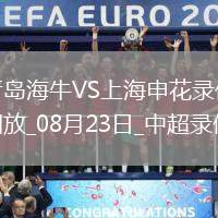 08月23日中超第22輪青島海牛vs上海申花全場錄像