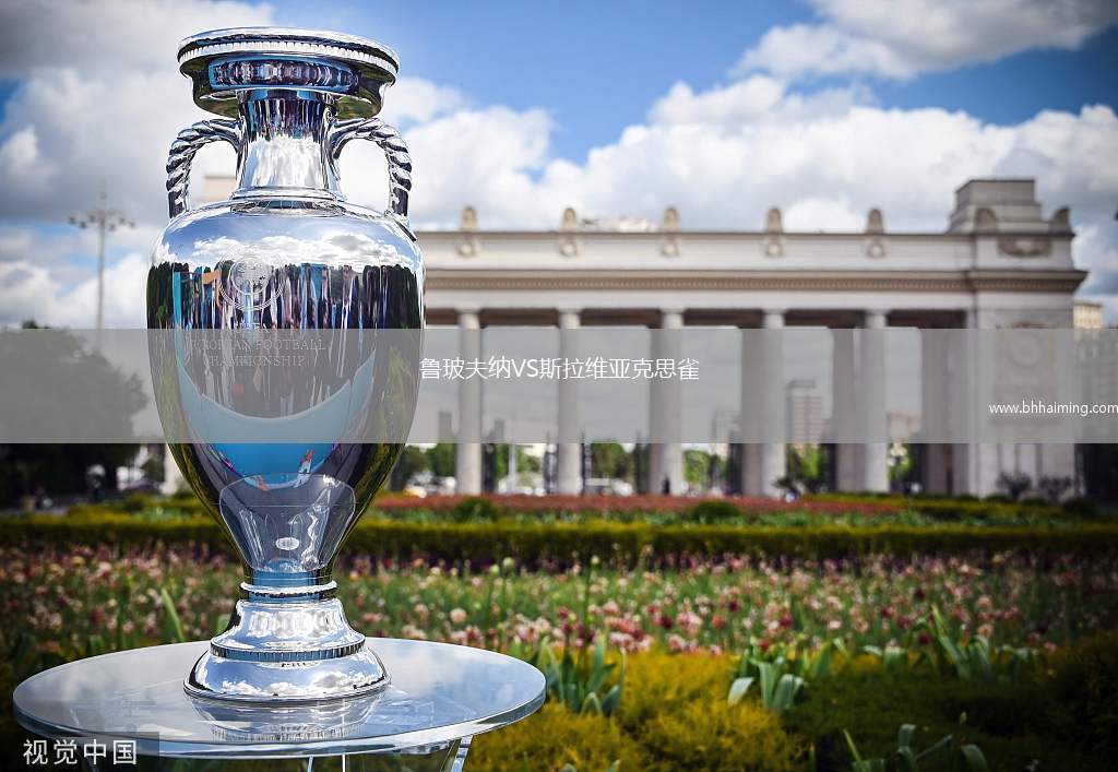 魯玻夫納VS斯拉維亞克思雀