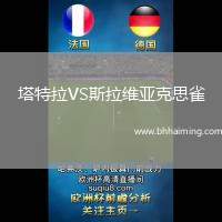 塔特拉VS斯拉維亞克思雀