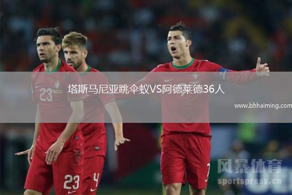 塔斯馬尼亞跳傘蟻VS阿德萊德36人