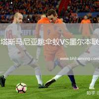 塔斯馬尼亞跳傘蟻VS墨爾本聯(lián)