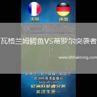 瓦格蘭姆鱷魚VS蒂羅爾突襲者