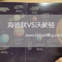 海德聯(lián)VS沃靈頓