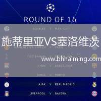 施蒂里亞VS塞洛維茨