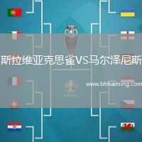 斯拉維亞克思雀VS馬爾澤尼斯