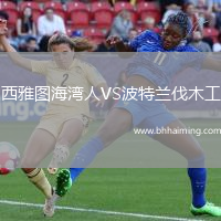 西雅圖海灣人VS波特蘭伐木工