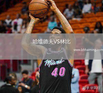 哈維德夫VS林比