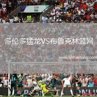 多倫多猛龍VS布魯克林籃網(wǎng)