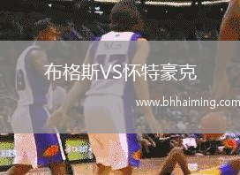 布格斯VS懷特豪克