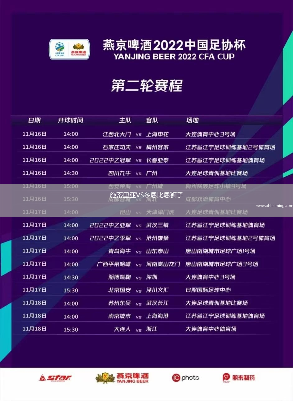 施蒂里亞VS多恩比恩獅子