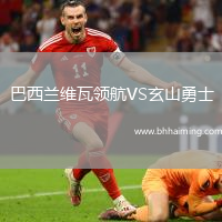 巴西蘭維瓦領(lǐng)航VS玄山勇士