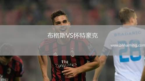 布格斯VS懷特豪克