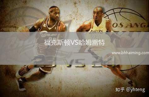 ?？怂诡DVS哈姆雷特