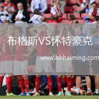 布格斯VS懷特豪克