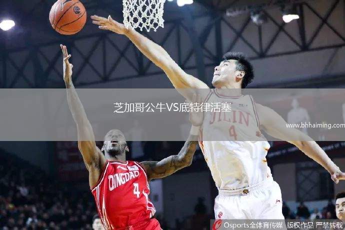 芝加哥公牛VS底特律活塞