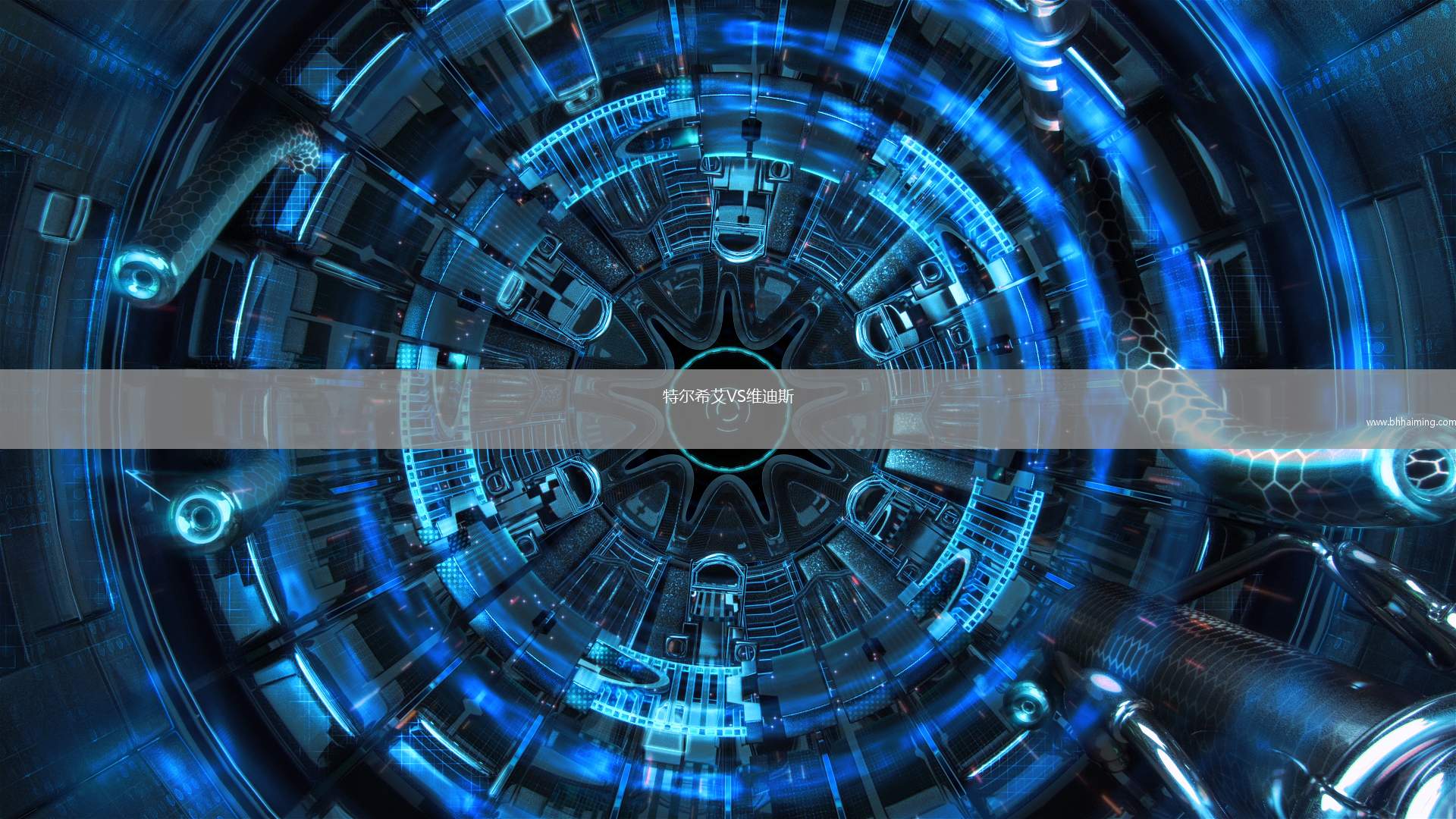 特爾希艾VS維迪斯