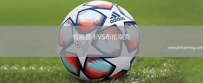 特雷普卡VS布倫瑞克