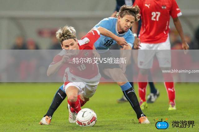 特爾希艾VS維迪斯