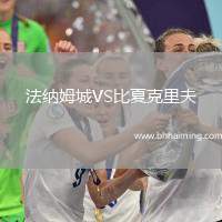 法納姆城VS比夏克里夫