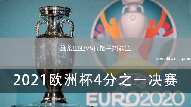 施蒂里亞VS瓦格蘭姆鱷魚