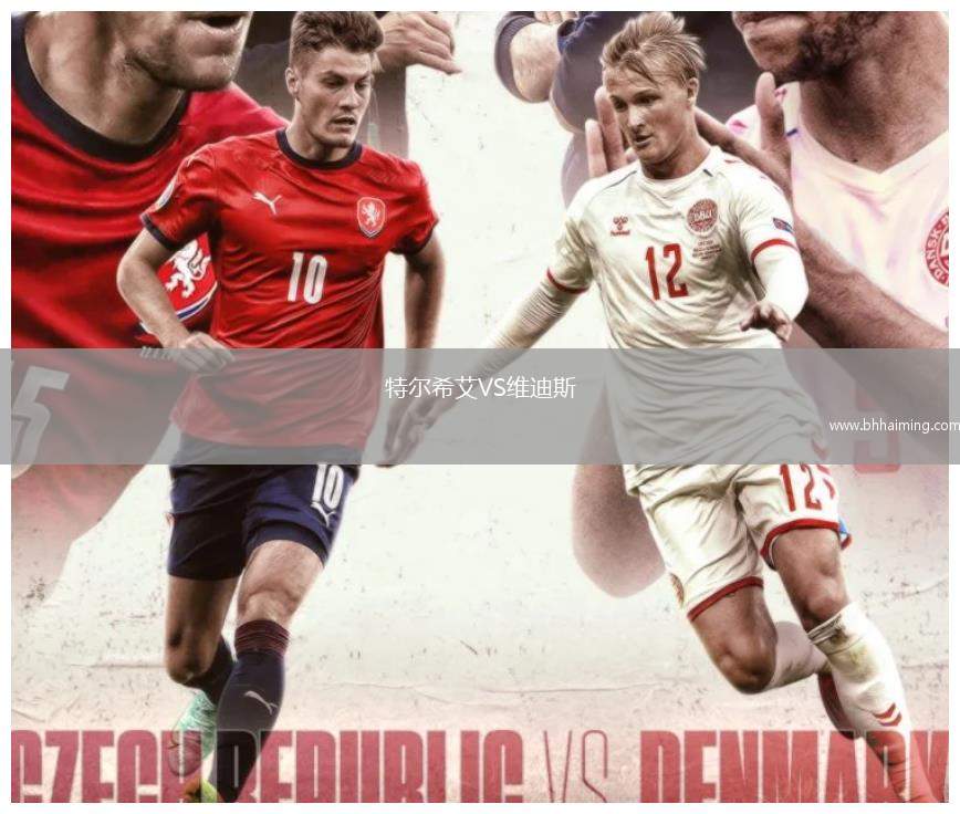 特爾希艾VS維迪斯