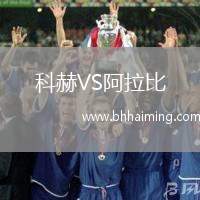 科赫VS阿拉比