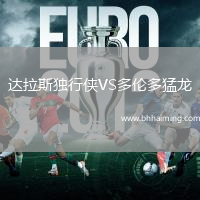 達(dá)拉斯獨(dú)行俠VS多倫多猛龍