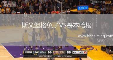 斯文堡格兔子VS哥本哈根