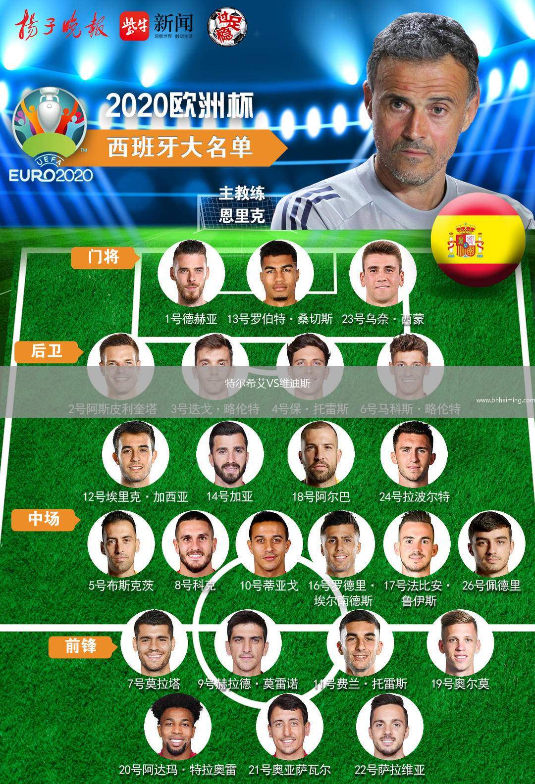 特爾希艾VS維迪斯