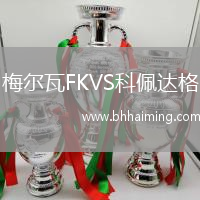 梅爾瓦FKVS科佩達(dá)格