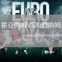 霍芬海姆VS海登海姆