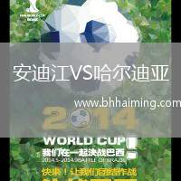 安迪江VS哈爾迪亞