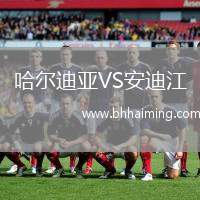 哈爾迪亞VS安迪江