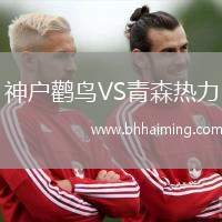 神戶鸛鳥VS青森熱力
