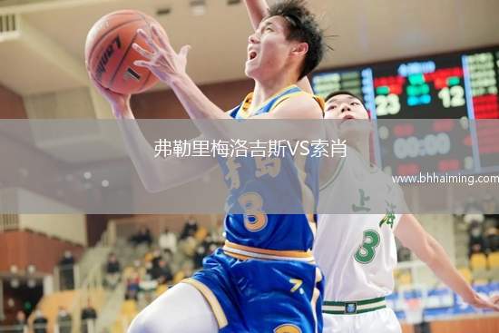 弗勒里梅洛吉斯VS索肖