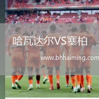 哈瓦達(dá)爾VS塞柏