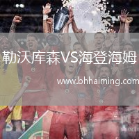 勒沃庫森VS海登海姆