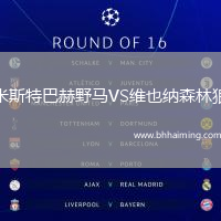 米斯特巴赫野馬VS維也納森林狼