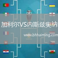 加利爾VS內(nèi)斯茲奧納