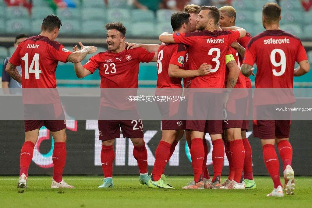 特萊維奧VS費拉羅尼