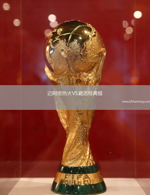 邁阿密熱火VS夏洛特黃蜂