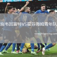 施韋因富特VS霍芬海姆青年隊(duì)