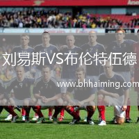 劉易斯VS布倫特伍德